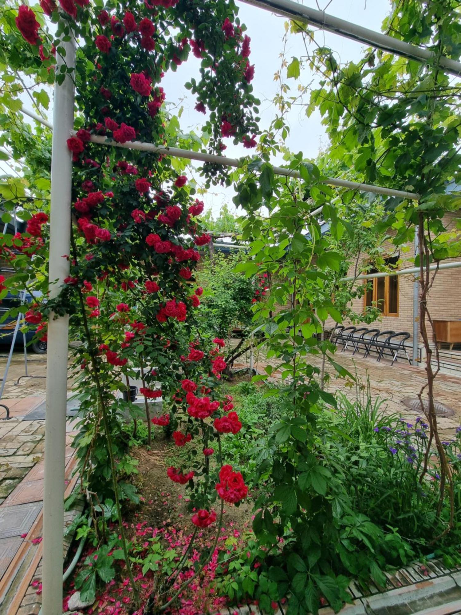 Hostel Muborak Samarkand Exterior photo